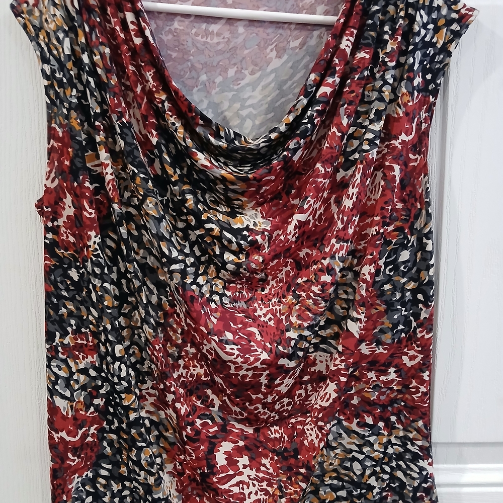 Elegant Cowl Neck Women's Blouse